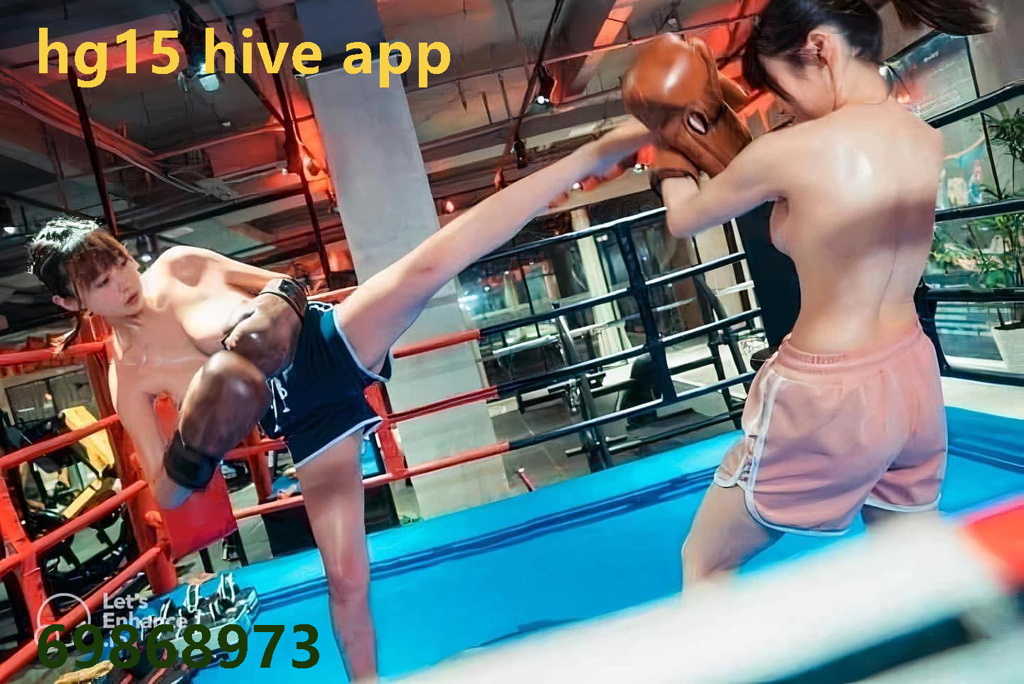 hg15 hive app